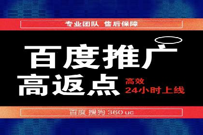 SEM主管实战：案例分析与优化策略
